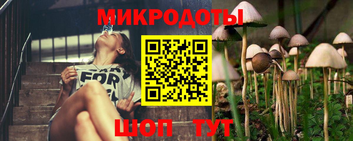Псилоцибиновые грибы GOLDEN TEACHER Тобольск